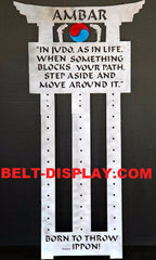 Judo Belt Display: Martial Arts 12 Belt Holder